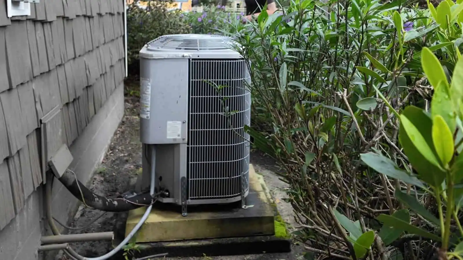 Outdoor air conditioning unit surrounded by greenery and a wooden fence.